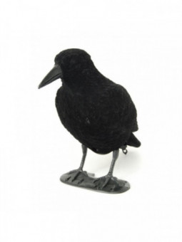 Formes corvidés (par 12)