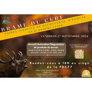 Brame du cerf
