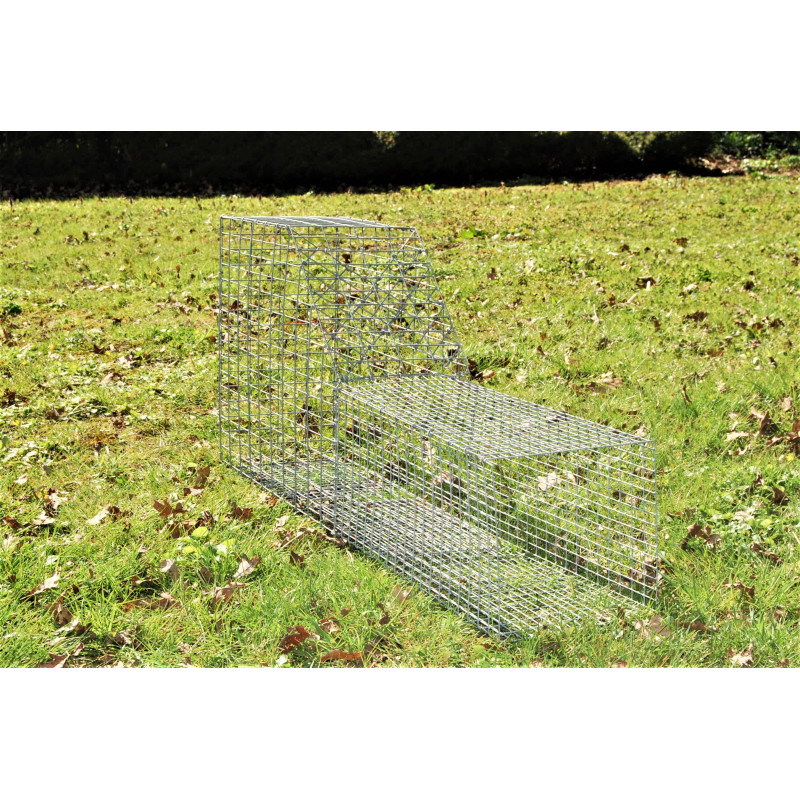 Cage pour renardeaux