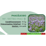 Phacélie BIO - 10 Kg