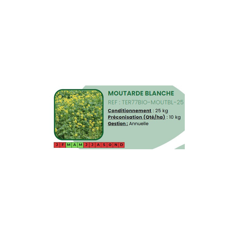 Moutarde Blanche BIO - 25 Kg