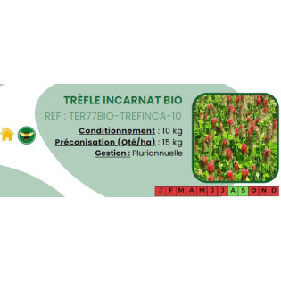 Trèfle incarnat BIO - 10 Kg