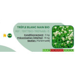 Trèfle blanc nain BIO - 5 Kg