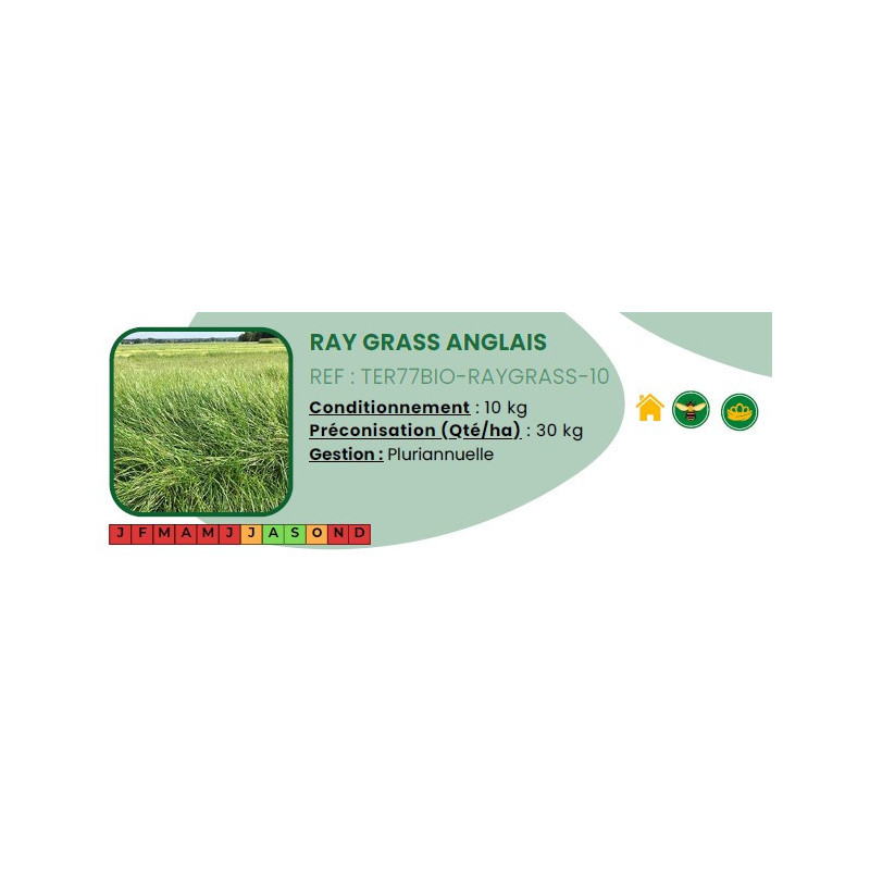 Ray Grass anglais - 10 Kg