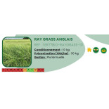 Ray Grass anglais - 10 Kg