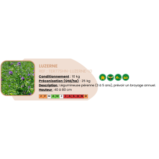 Luzerne - 10 Kg