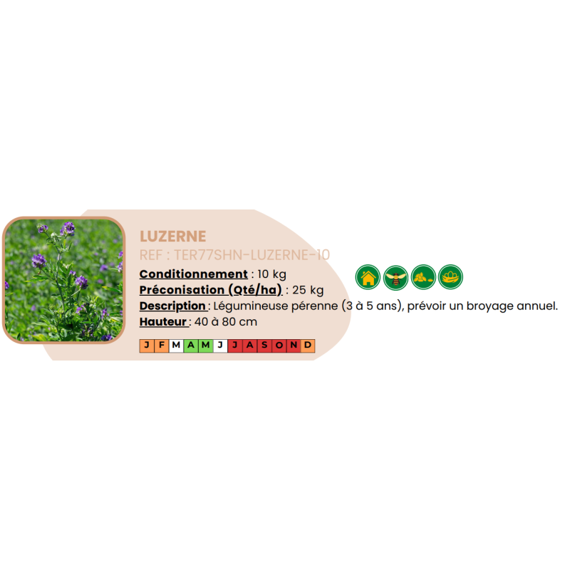 Luzerne - 10 Kg