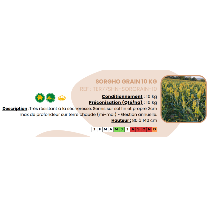 Sorgho grain - 10 kg