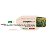 Sorgho grain - 10 kg