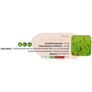 Moha - 10 Kg