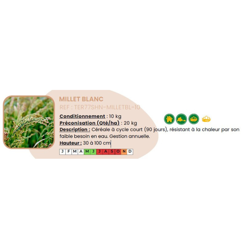 Millet Blanc - 10 Kg
