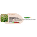 Millet Blanc - 10 Kg
