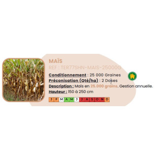 Maïs 25000 Grains