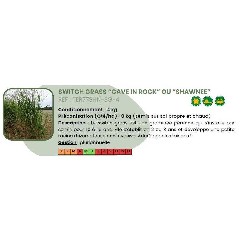 Switch Grass cave in Rock - 4 Kg