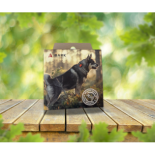 Collier GPS Tracker Bark