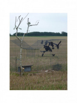 Corbeautière (3mx2mx2m)