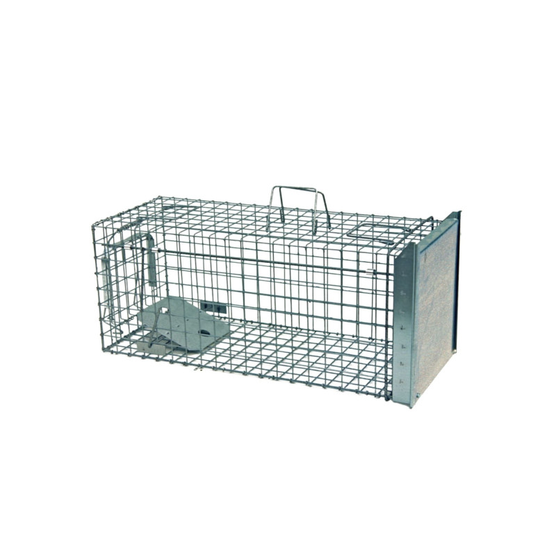 Cage piège 1 entrée