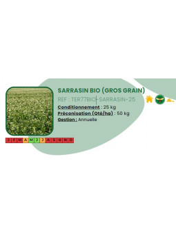 Sarrasin gros grain BIO -...