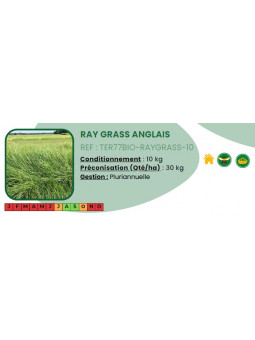 Ray Grass anglais - 10 Kg