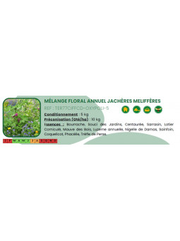 Radis/Phacélie/Trefle/Sarra...