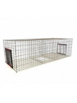 Cage piège pour pigeon