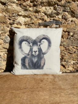 Coussin Walter Arlaud