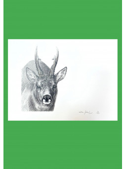 Lithographie Walter Arlaud