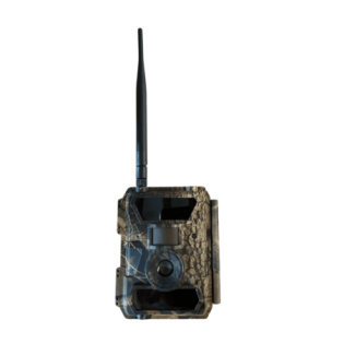 Piège photographique