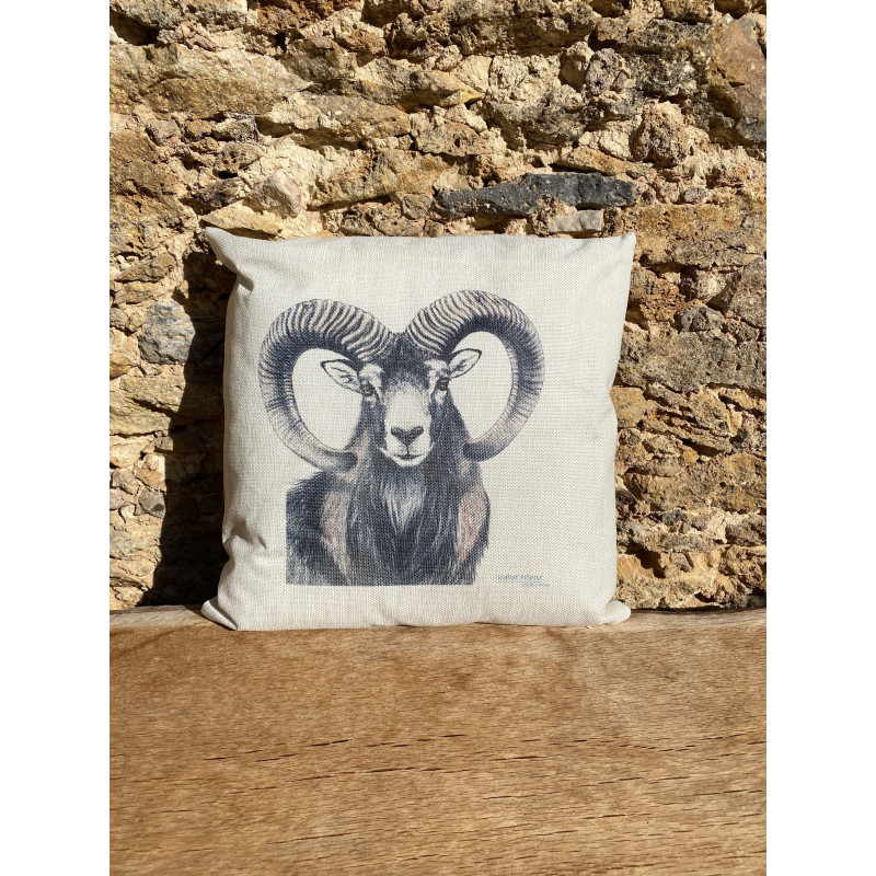 Coussins Walter Arlaud