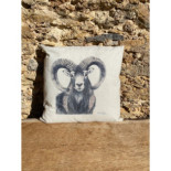 Coussins Walter Arlaud