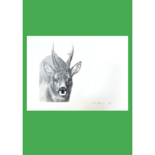 Lithographie Walter Arlaud