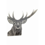 Lithographie Walter Arlaud