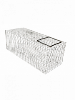 Module appelant vivant pour...